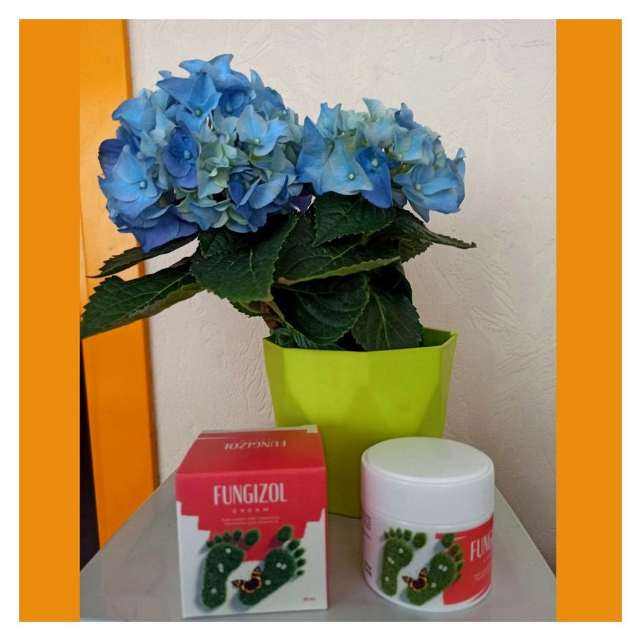 Fungizol – крем в бурканче 30 ml